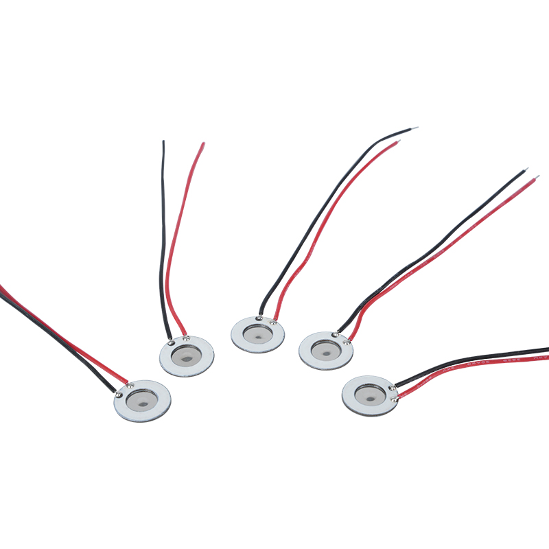 10 ミリメートルステンレス鋼微多孔性アトマイザー美容水分補給器具経口スプレー香水スプレー加湿消毒メッシュアトマイザーは電子禁煙装置やその他の製品にも適用されます