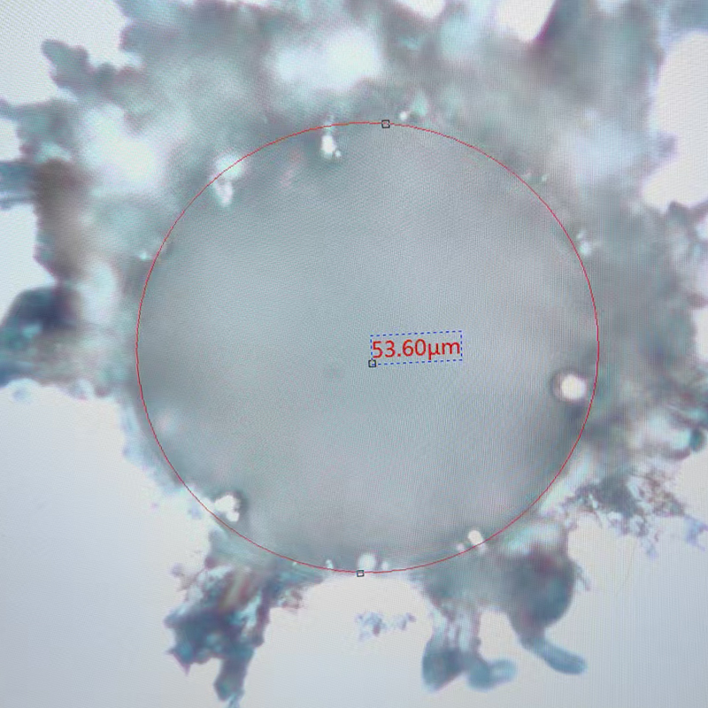 高精度レーザーマイクロビア